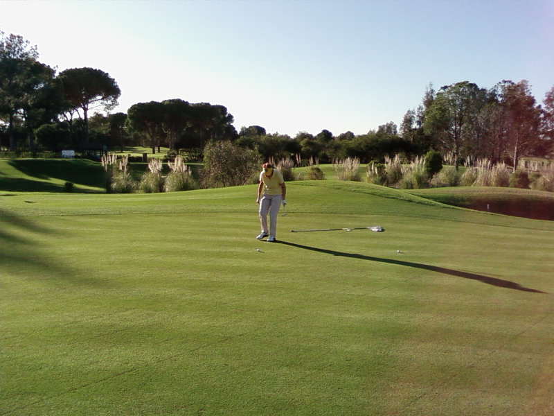 Green , green. grass...